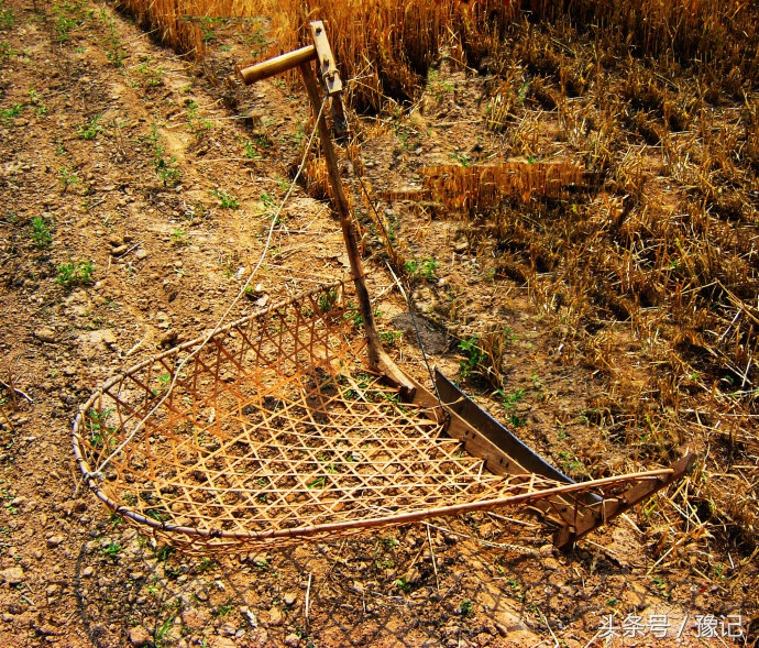 懒癌拯救世界,懒癌发明的神器