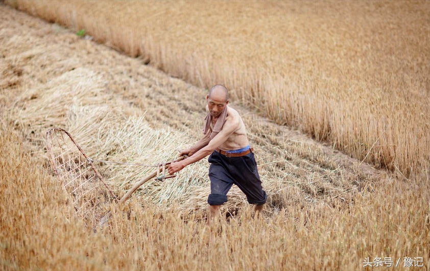 懒癌拯救世界,懒癌发明的神器