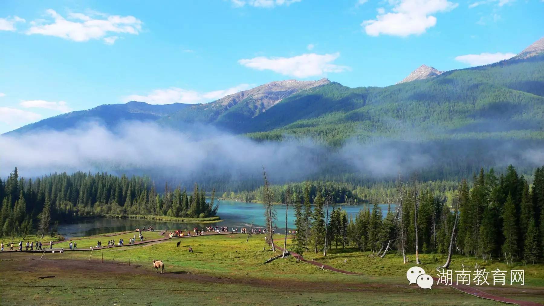 如果你到不了吐鲁番，至少应该看看这个