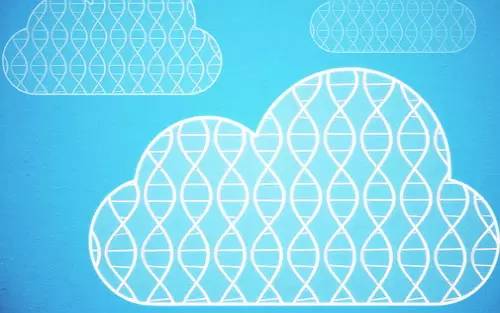 鐧岀棁鍩哄洜缁勫涓撲笟,鐧岀棁鍩哄洜缁勫