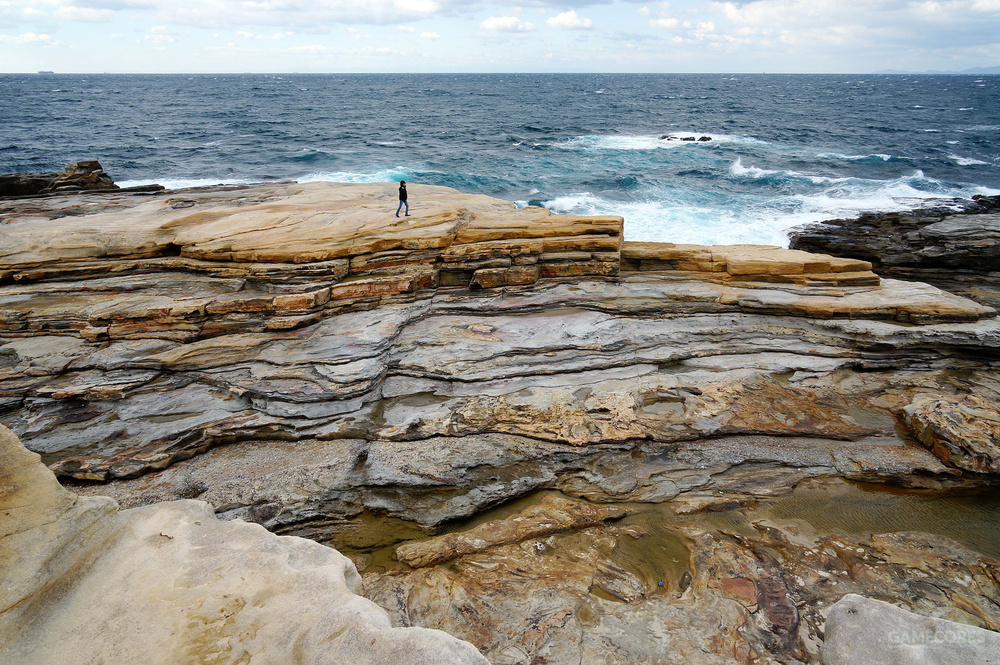关于《MH》里的设定「艾露」