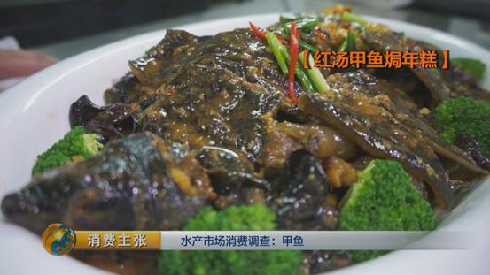 水产挑选窍门,怎么选品质高的甲鱼