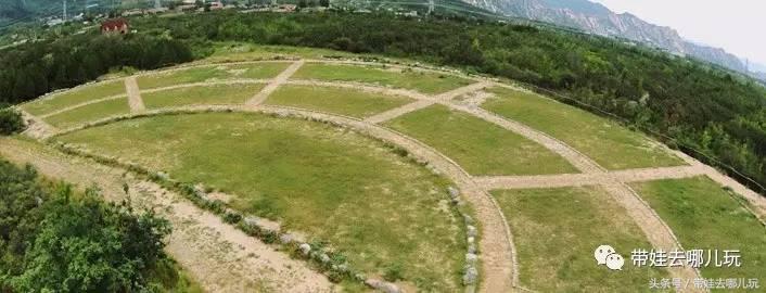 一次薰衣草之旅是如何变成采摘农家乐的?