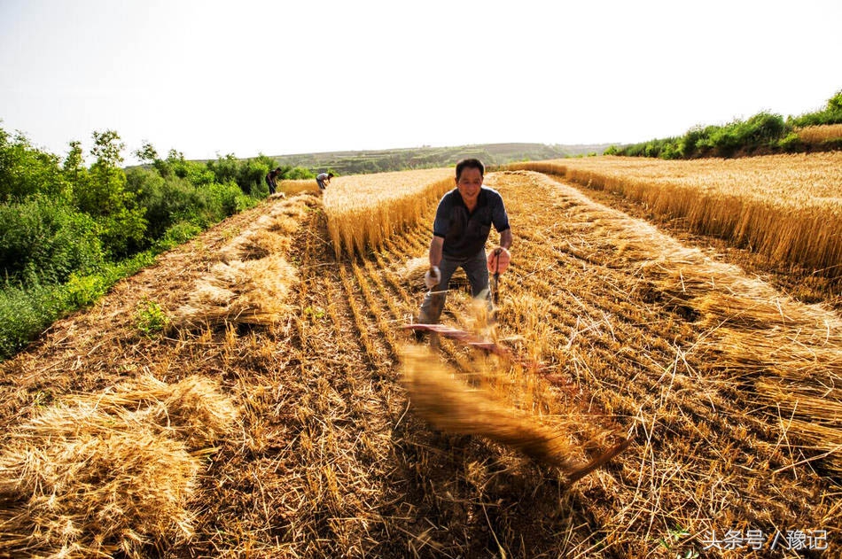 懒癌拯救世界,懒癌发明的神器