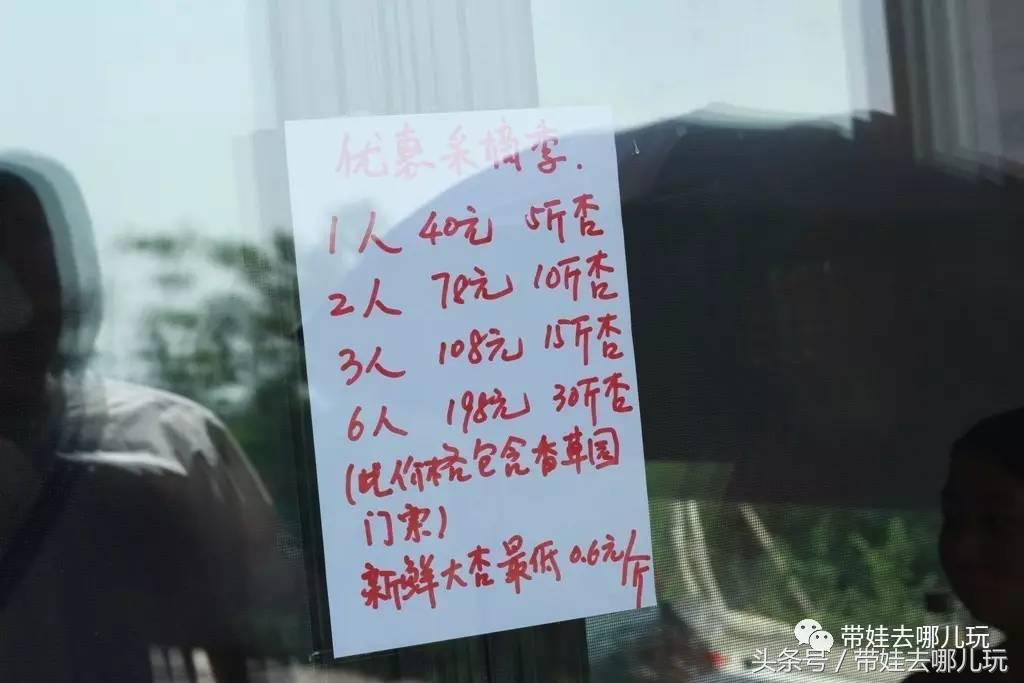 一次薰衣草之旅是如何变成采摘农家乐的?