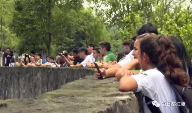 阿根廷足球之旅,阿根廷青少年队