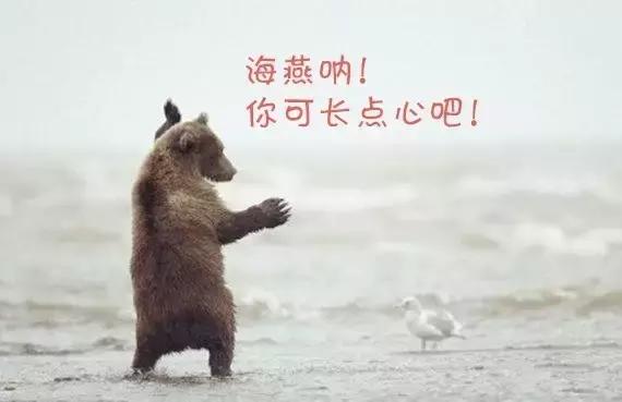 注射的玻尿酸是被人体吸收了吗,注射玻尿酸肿胀感多长时间消失