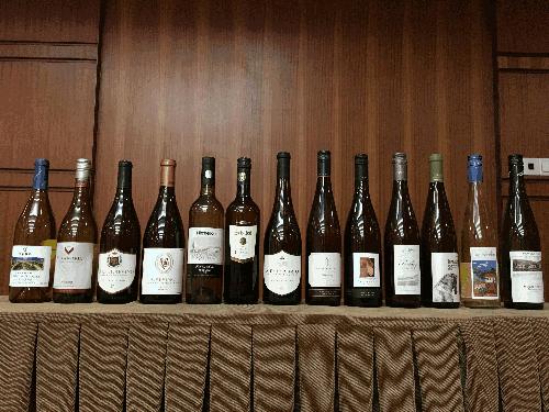 哪款雷司令最好,新手买哪款雷司令