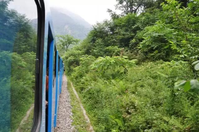 成都周边免费森林自然景点,成都森林避暑好去处