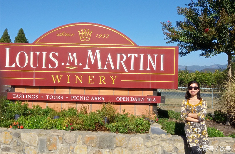 酒庄旅游攻略详细,酒庄游玩有什么项目