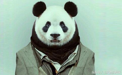 长期黑眼圈该如何调理,长期的黑眼圈有什么方法可以消除