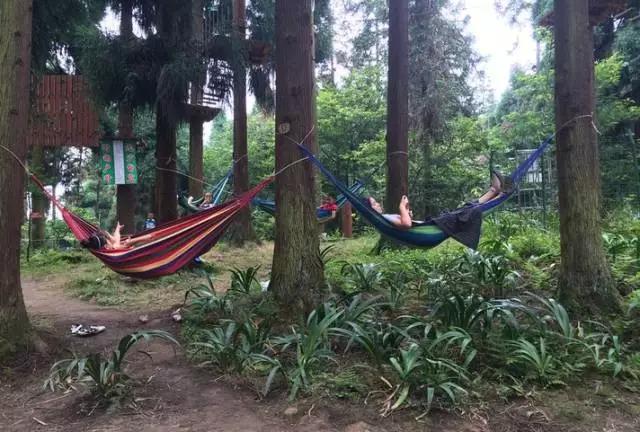 成都周边免费森林自然景点,成都森林避暑好去处