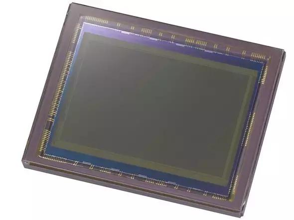 溜地兔没藏好，索尼还有新黑卡｜势力新鲜报