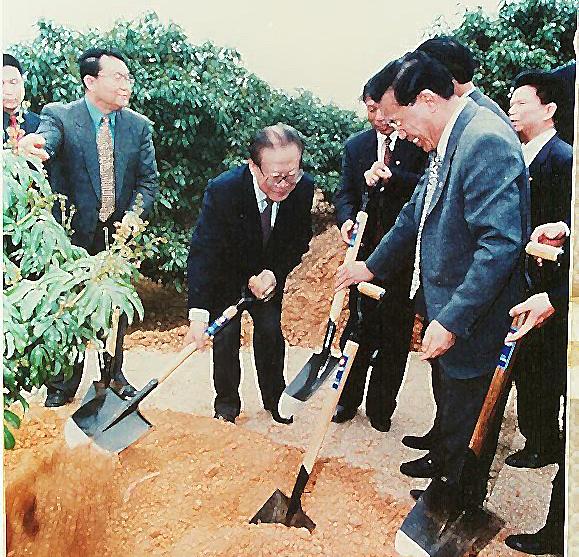 这个季节到茂名，我可能撑死在高州