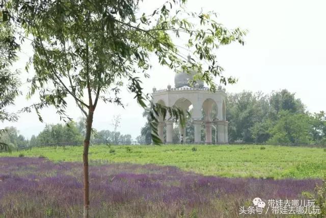 性价比高的亲子酒店推荐,性价比高又好住的酒店