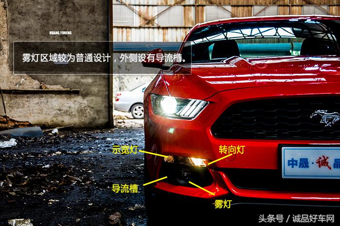 没有奔跑在草原的野马，成了男人心口的朱砂痣