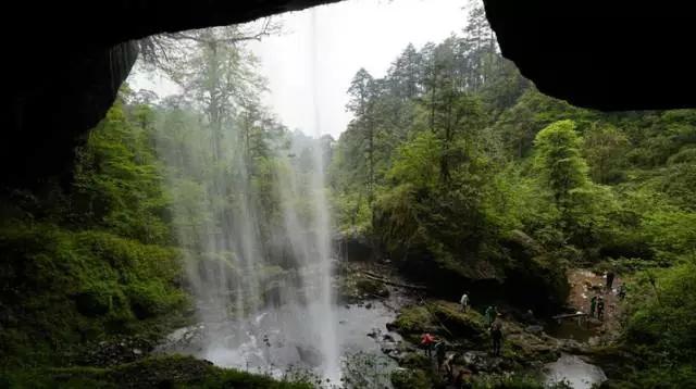 成都周边免费森林自然景点,成都森林避暑好去处