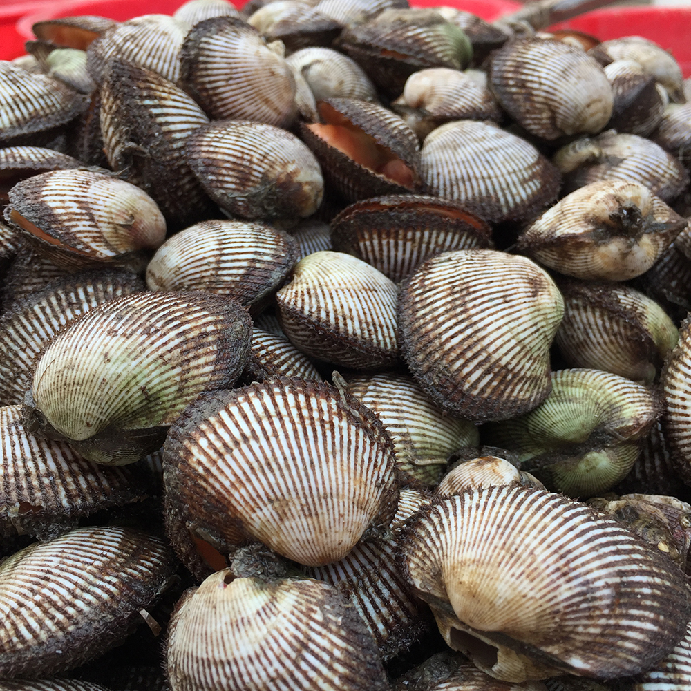 经典海鲜摄影图片,鲜活海鲜摄影技巧