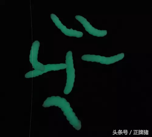 谈恋爱期间女朋友生日送什么礼物,女朋友生日礼物送给她什么好