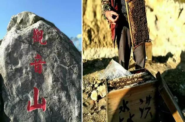 拒绝下饺子，出门就是海，双月湾爱琴海酒店