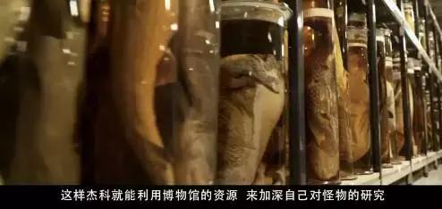 新木乃伊电影被差评原因,新木乃伊4上映了吗