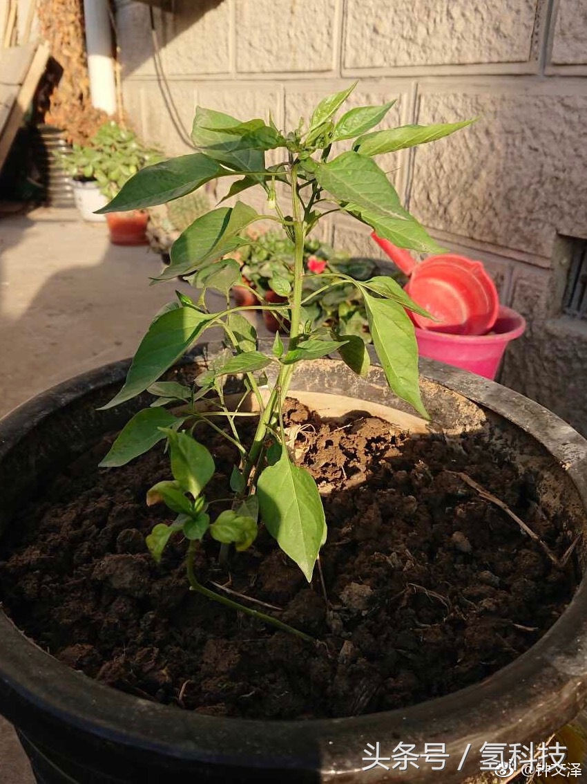 华为p10和苹果7p,华为p10vs苹果x流畅度