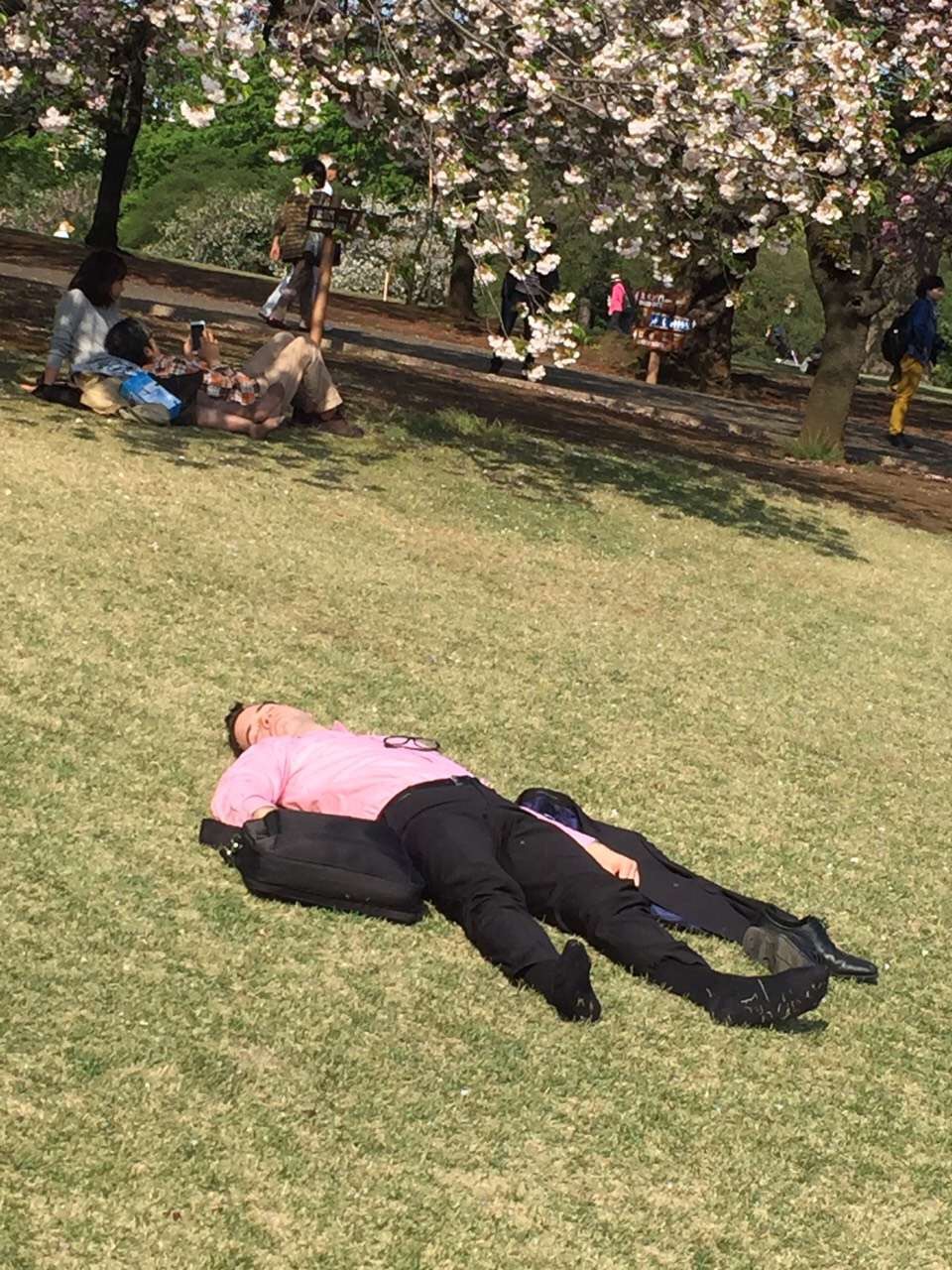 你和去日本旅行只差一张机票是一个国家更像是一个星球