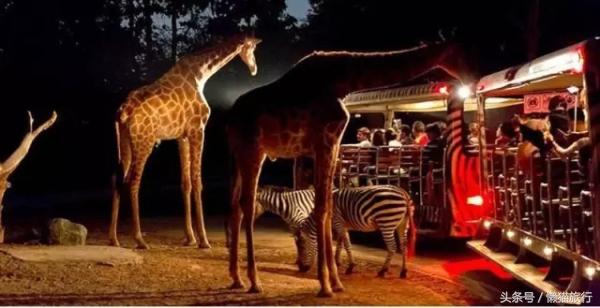 亲子游适合去泰国哪里,泰国普吉岛亲子游旅游攻略