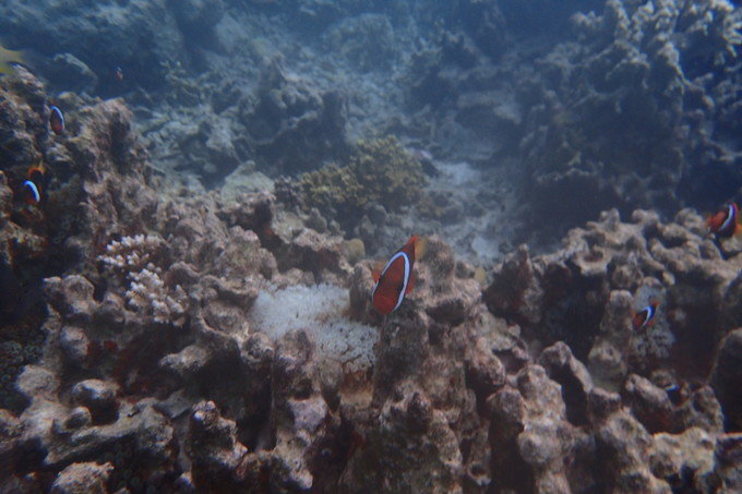 带着思念去海边,带着思念期待下一次再见