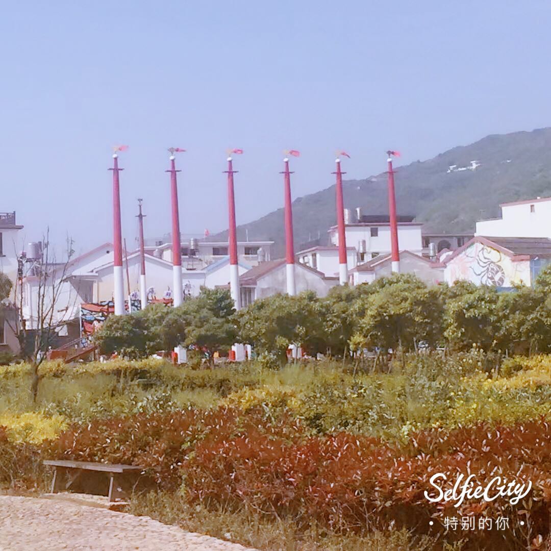 马尔代夫旅游豪华游攻略,马尔代夫海岛一日游