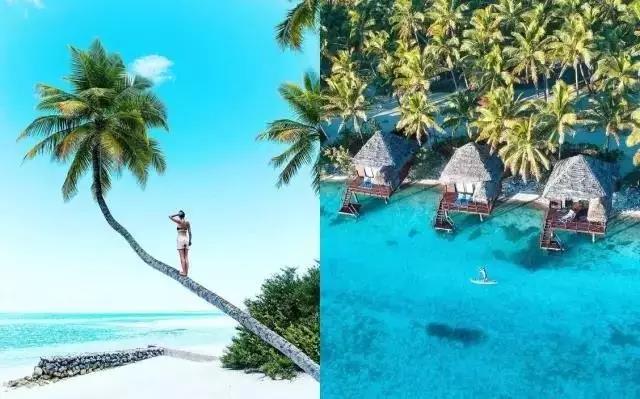 炎炎夏日给大家点缀一丝丝清凉,炎炎的夏日带给你一股清凉的韵味