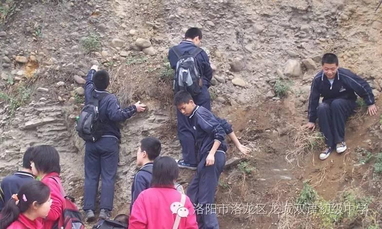 洛阳龙城双语中学招生平台,洛阳最新小八中初中招生简章