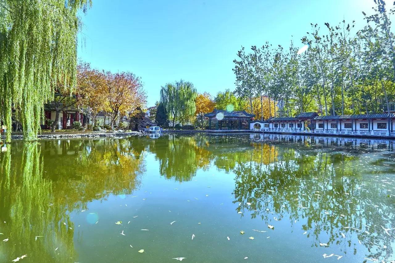 吃川菜去重庆还是成都,吃川菜到蓉城小馆