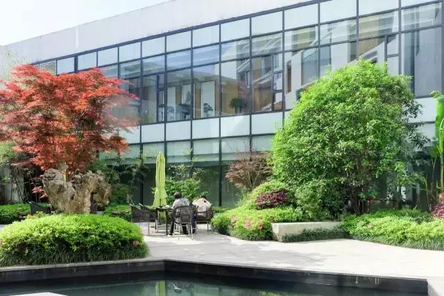 初夏阳光下太平湖沐心酒店风景,太平湖旅游攻略酒店