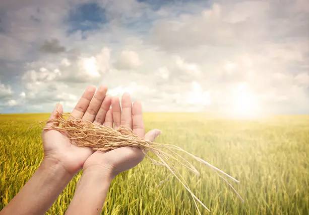 佳格大数据怎么样,佳格大数据公司