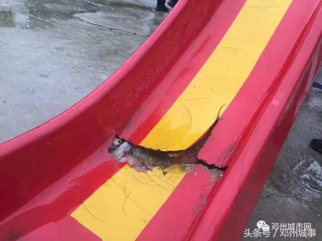 邓州雷锋中学志愿者服务队,邓州市志愿者爱心人士