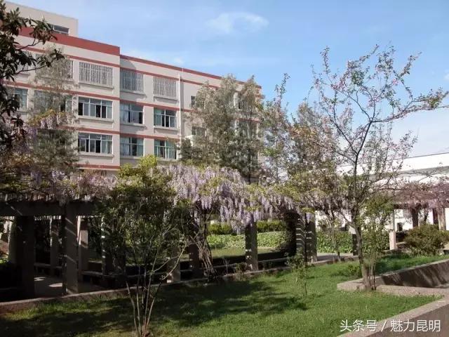 谢谢你昆明,昆十四中学