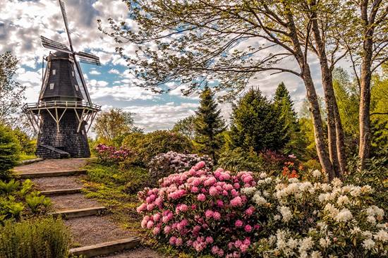 全球最大海潮在哪里,世界上最大的海潮