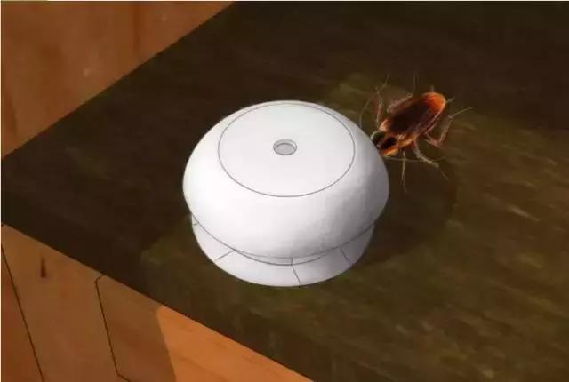 敌敌畏灭蟑螂最佳方法,快速灭蟑螂的6大方法