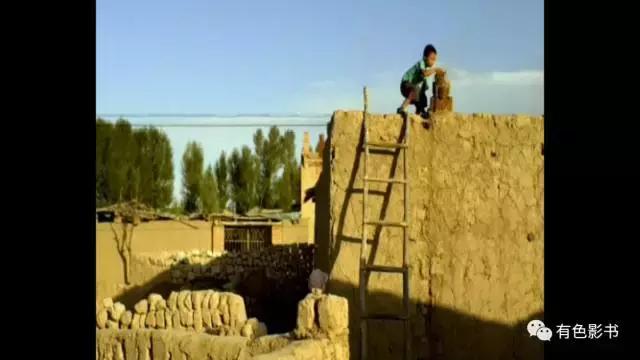 你个*日的狗**，居然想活埋你爷爷？