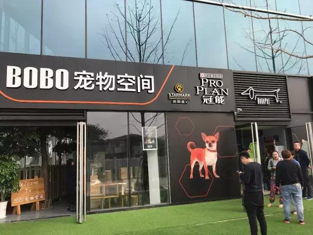 活得不如狗系列之，宠物酒店！