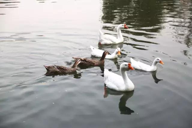 中国航天五零四所介绍,中国航天五零四研究所