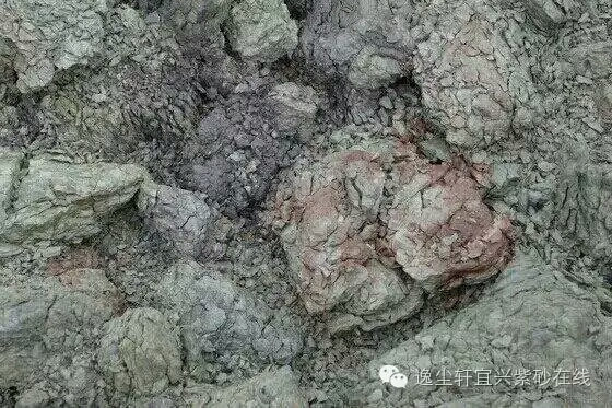 紫砂青灰矿石原料,陶公粟原矿蟹壳青泥料