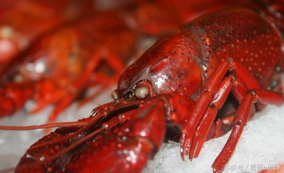 批量处理word邮件合并,word邮件合并高效