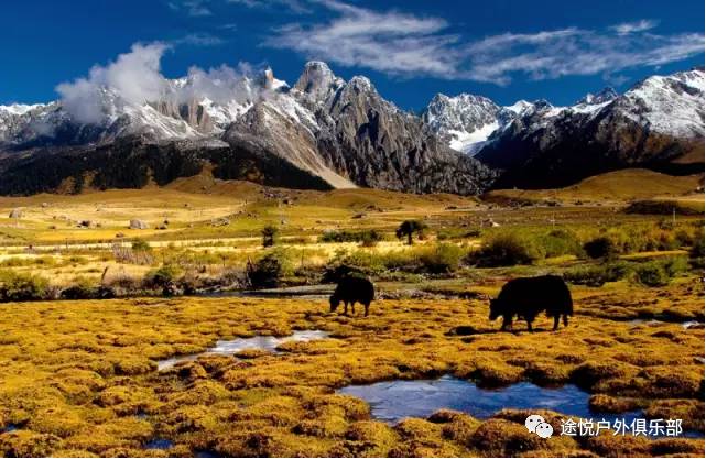 川西不为人知的沟谷,川西隐藏景点