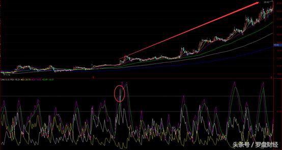 *家庄**之道——最强启动之一