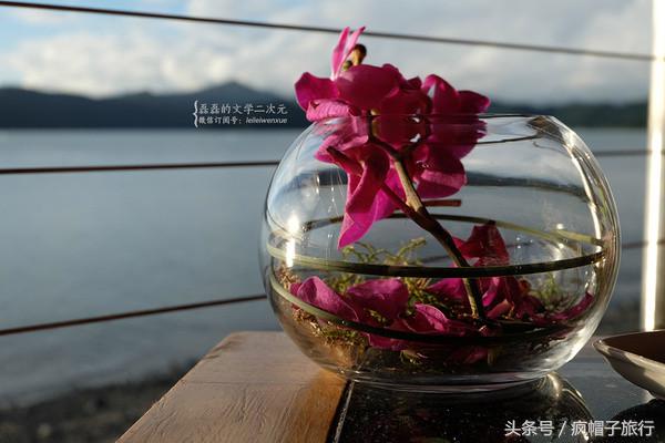 36个必须知道的澳洲旅行贴士,澳洲昆士兰州自由行攻略