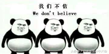 买英国斗牛犬被骗,买英国斗牛士