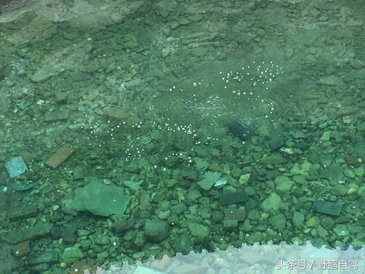 野鹅自驾：一个小泉眼，却养活了整个村子，冒出的气泡酷似珍珠！