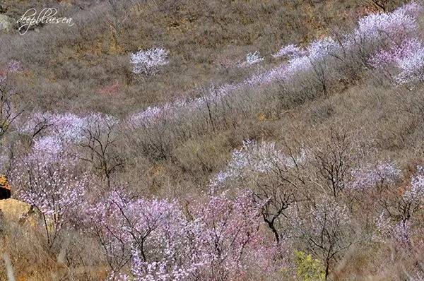 不服不行想办法,不服不行乐视